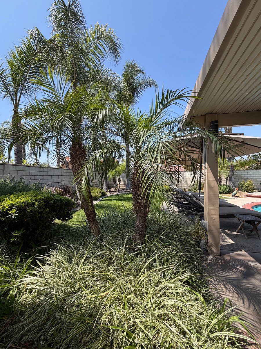 Furnished Finder property 870196_1 photo 20