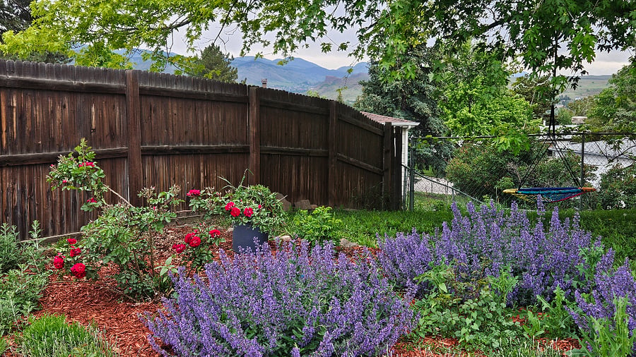 Furnished Finder property 870264_1 photo 3