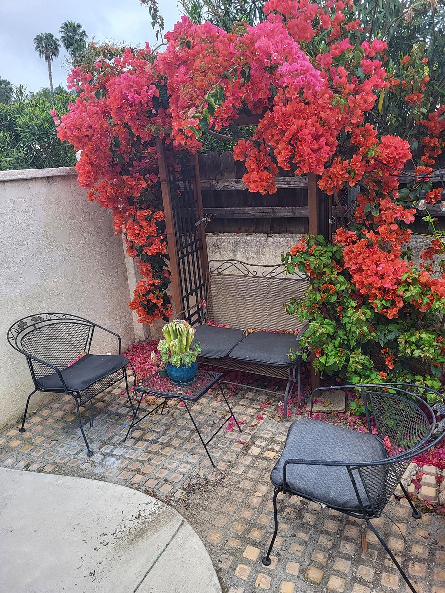 Relax under a bright canopy of flowers in this peaceful nook, perfect for a morning coffee or a quiet chat.