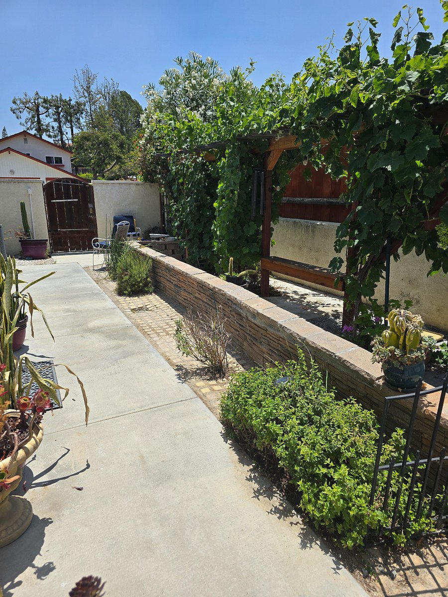 Unwind by the fire pit or sit in the shade of lush grape vines in this private, sun-filled backyard retreat.