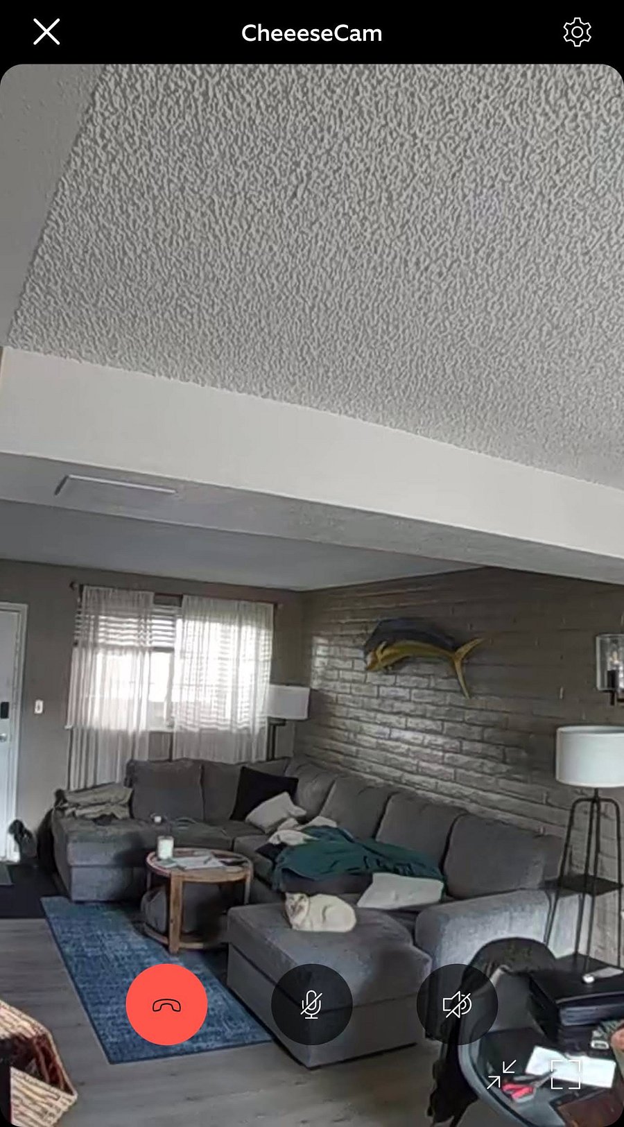 Furnished Finder property 870318_1 photo 3