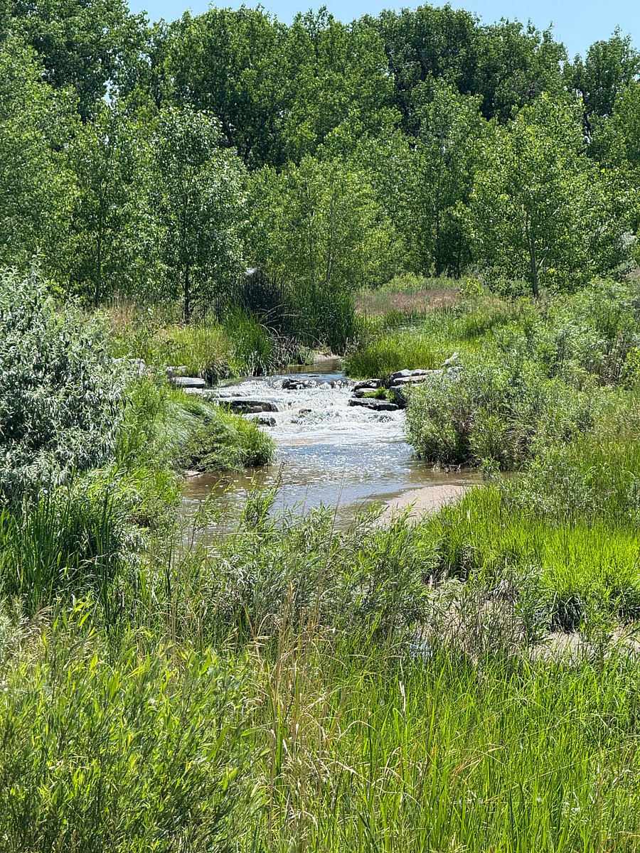 Right inside the neighborhood in the open space right off the walking trail.