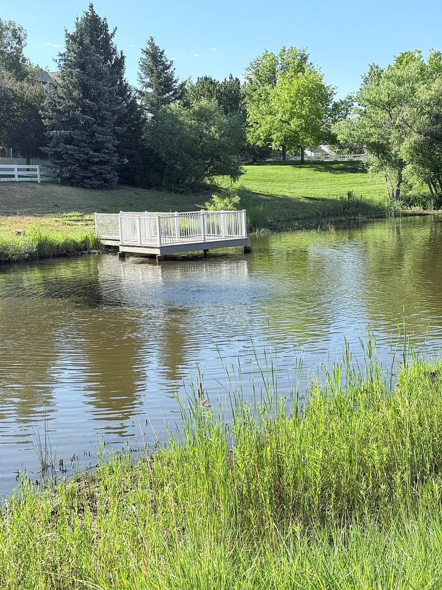 At the end of our street is the pond