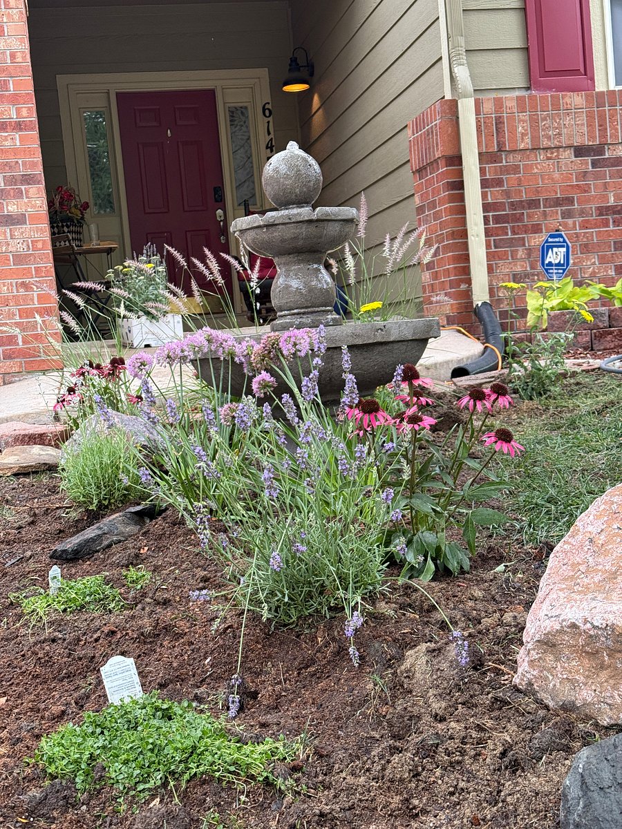 The new front garden and fountain