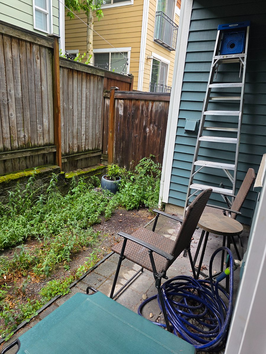 Furnished Finder property 870548_1 photo 3