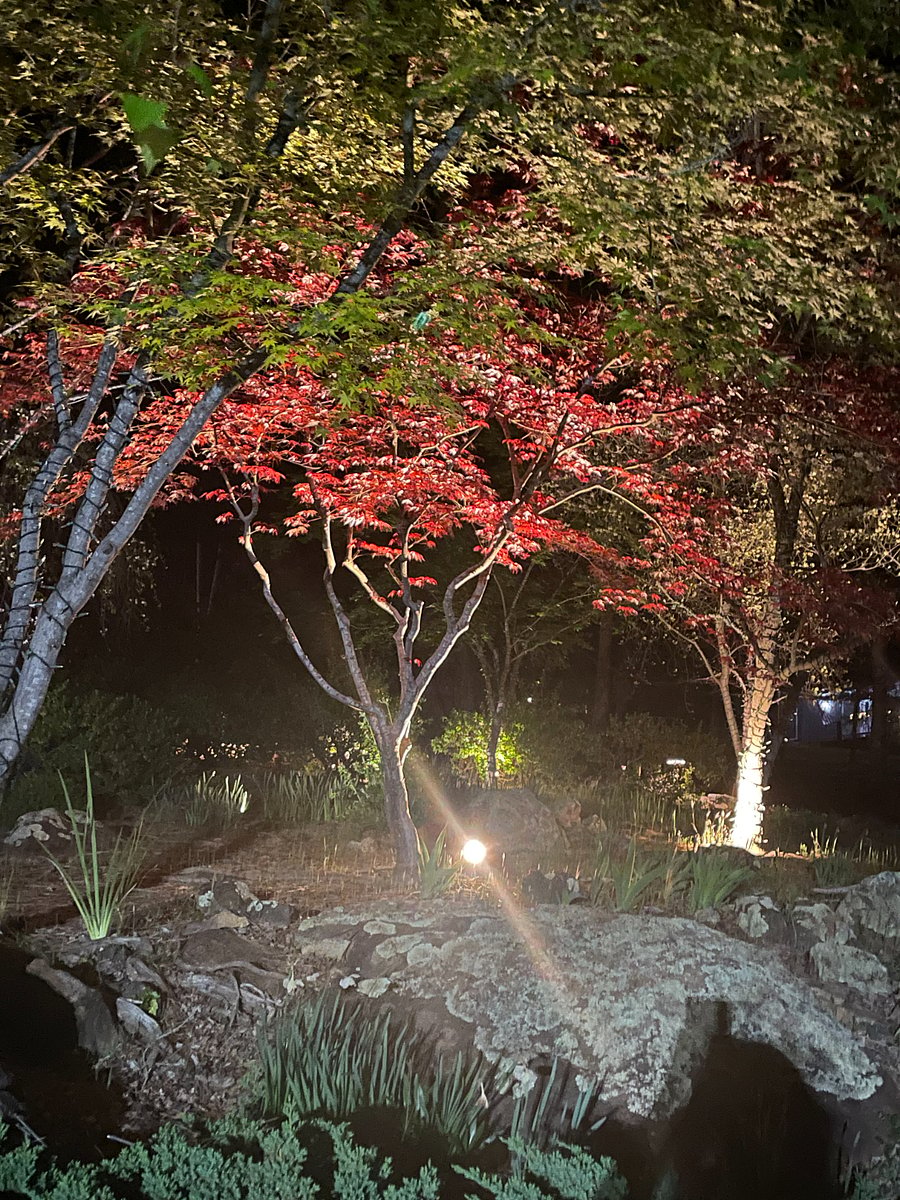 Landscape lighting on the front