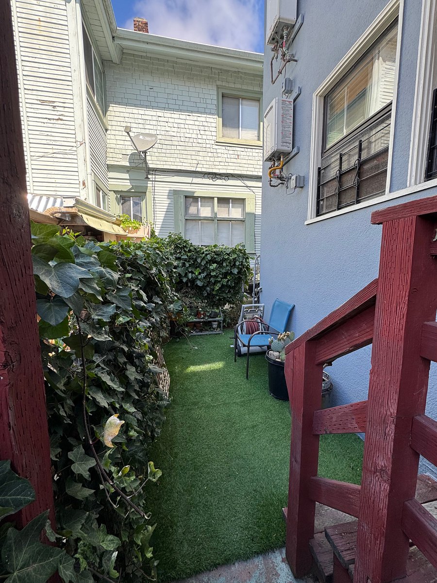back yard