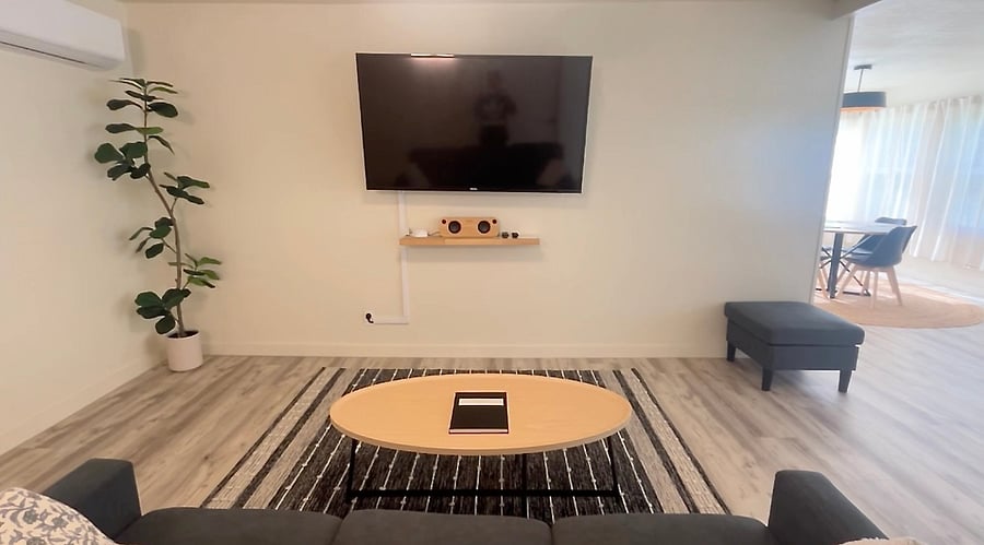 Smart TV with Roku. On the shelf below the TV is a Marley Bluetooth speaker.