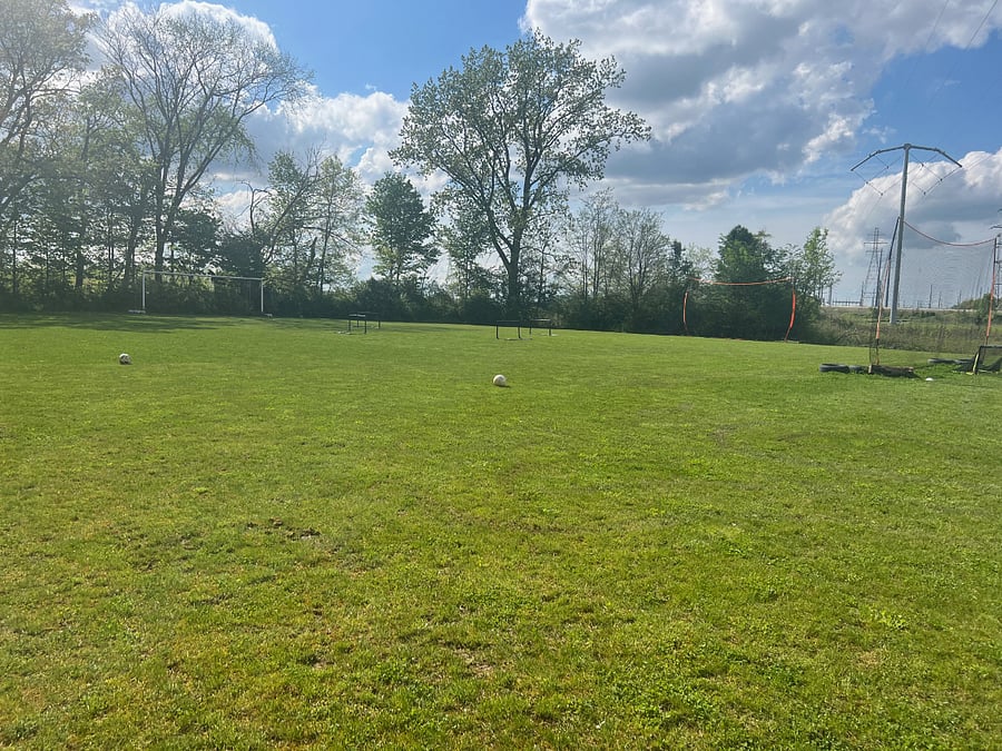 Soccer field in backyard