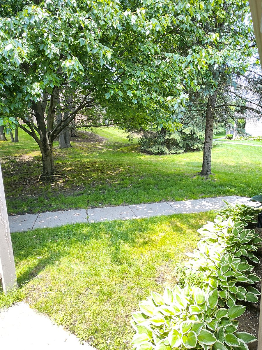 Furnished Finder property 871281_1 photo 10