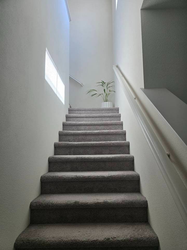 Furnished Finder property 871338_2 photo 7