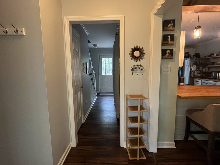Entrance and hallway