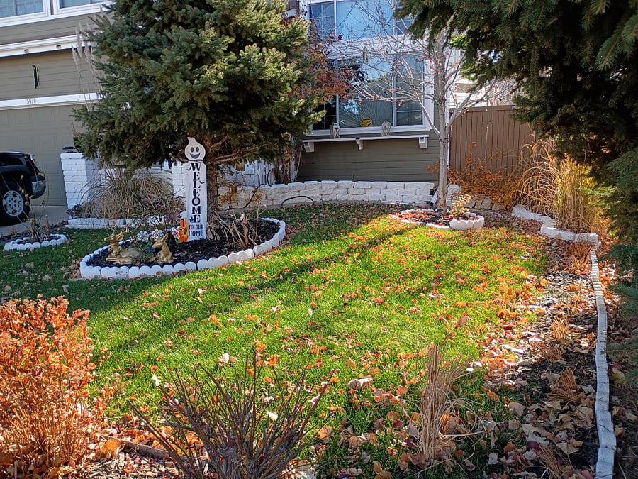 Furnished Finder property 871522_1 photo 4