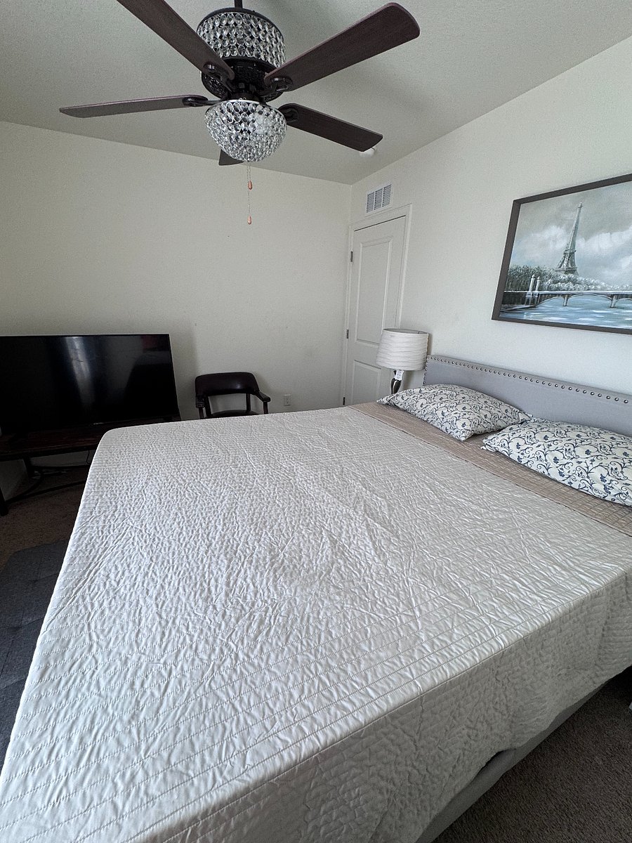 Furnished Finder property 871547_1 photo 3