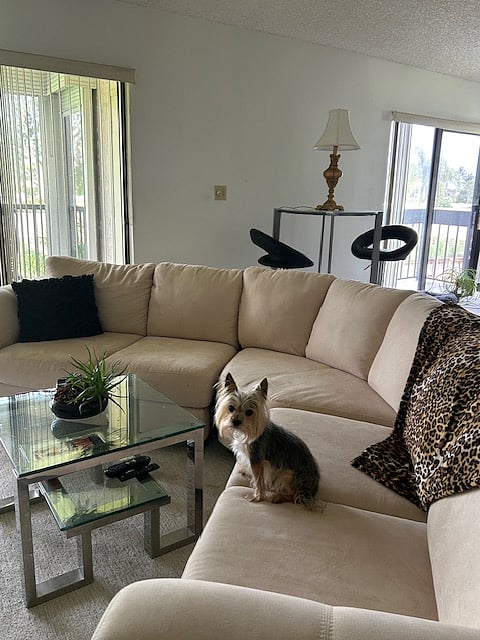 Furnished Finder property 871595_1 photo 6