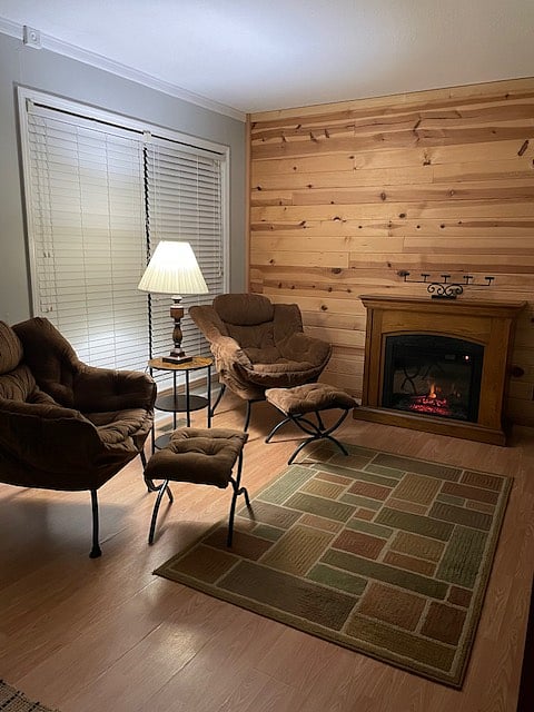 Electric Fireplace