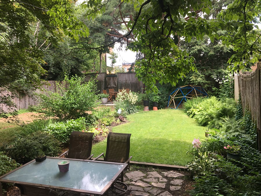 Backyard