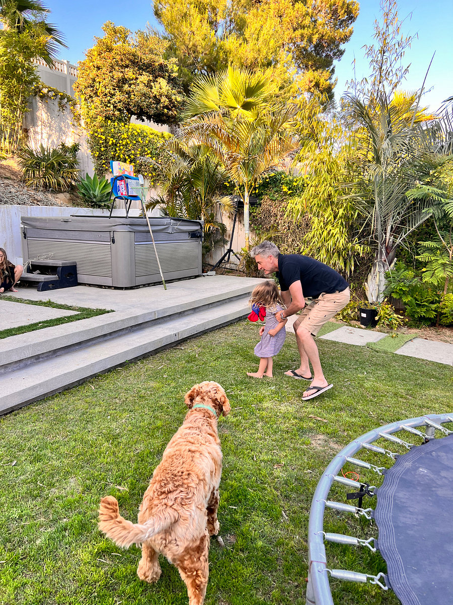 Meet Teddy, our friendly Labradoodle! :)