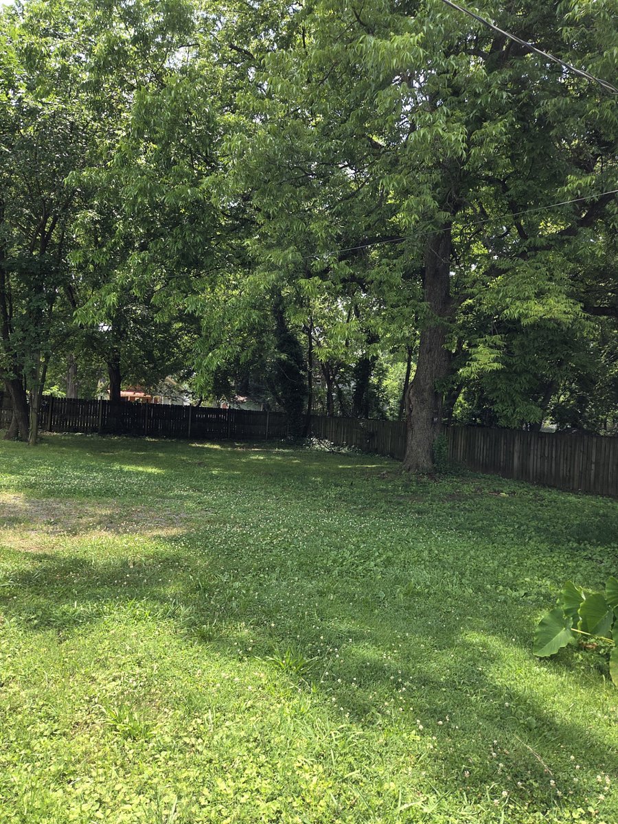 Furnished Finder property 871858_1 photo 8
