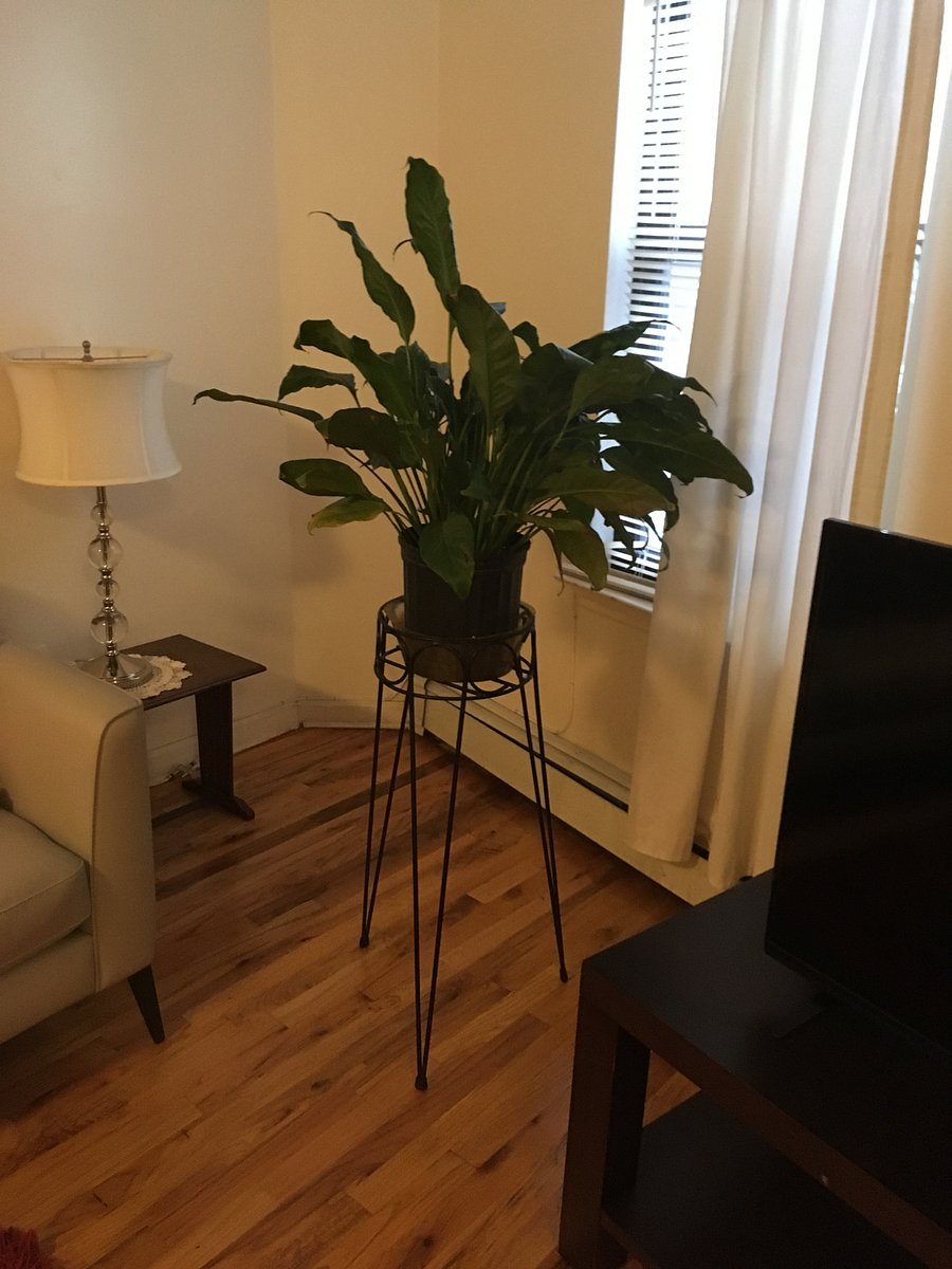 Furnished Finder property 871915_1 photo 6