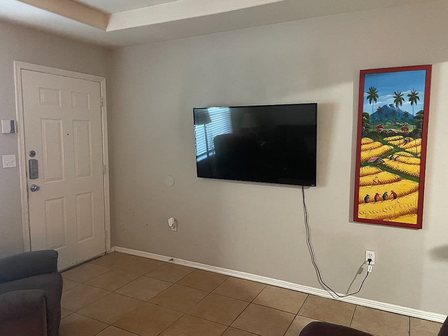 42" TV with Roku remote or Amazon Firestick in addition to the Vizio remote.