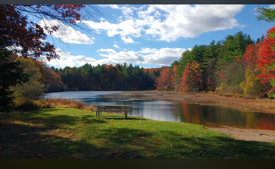 Lake Wintergreen, 1 block away.