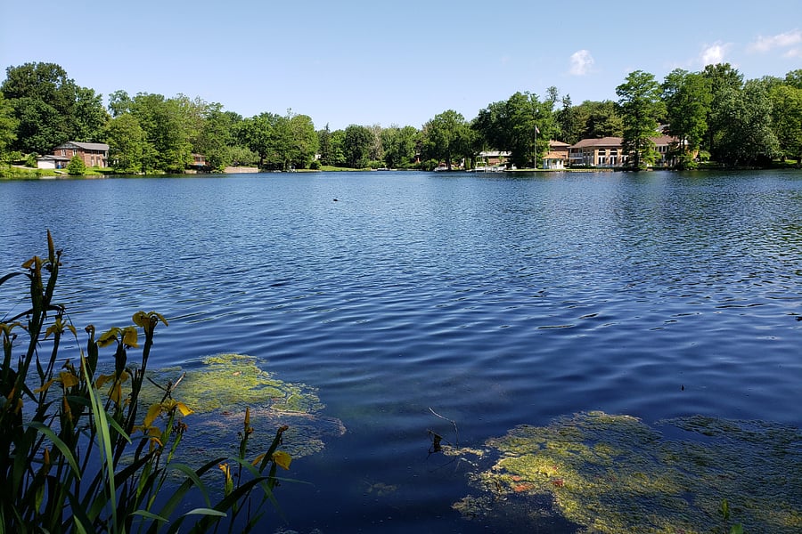 Neighborhood lake