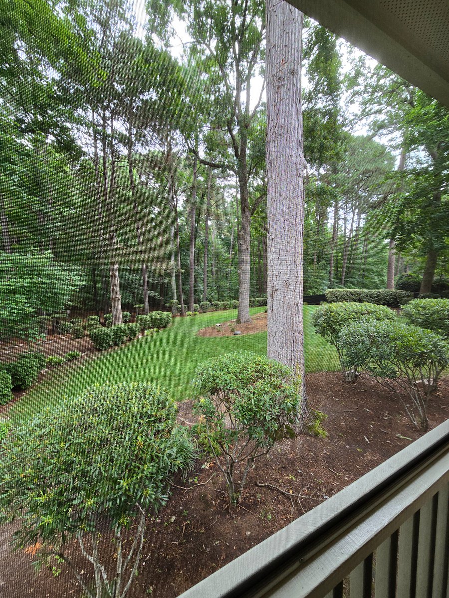 Furnished Finder property 872086_2 photo 18