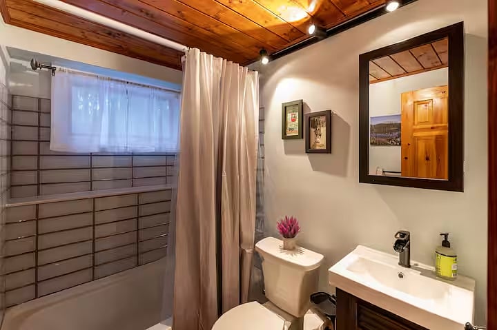 Furnished Finder property 872097_1 photo 22
