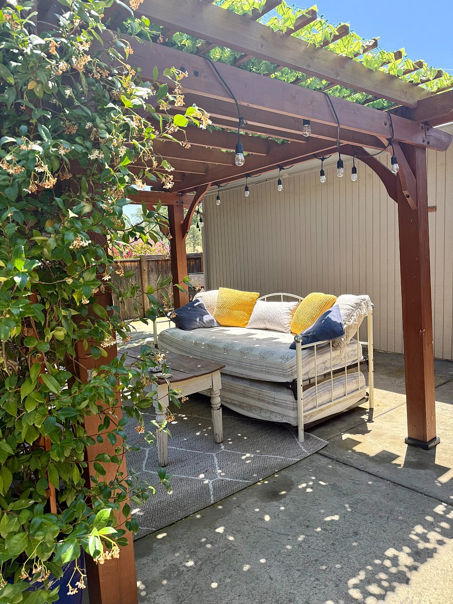 Backyard Pergola & Seating Area (Couch folds out into a bed)