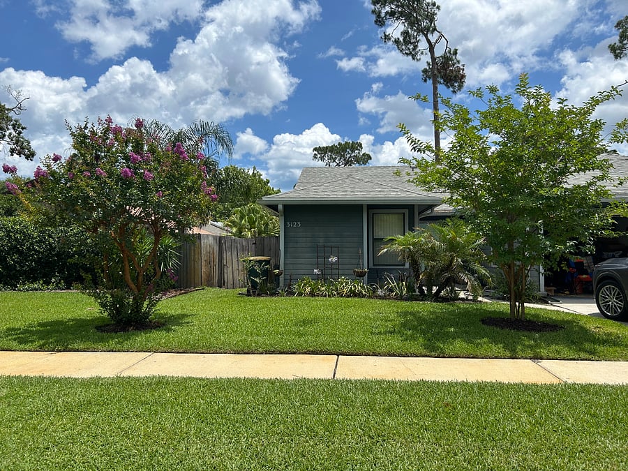 view from sidewalk