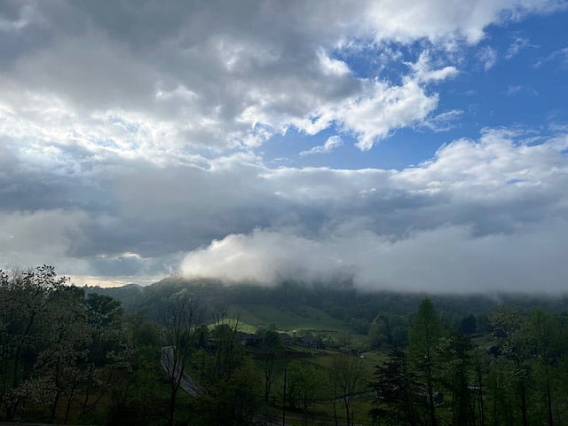 Summer View from the front porch