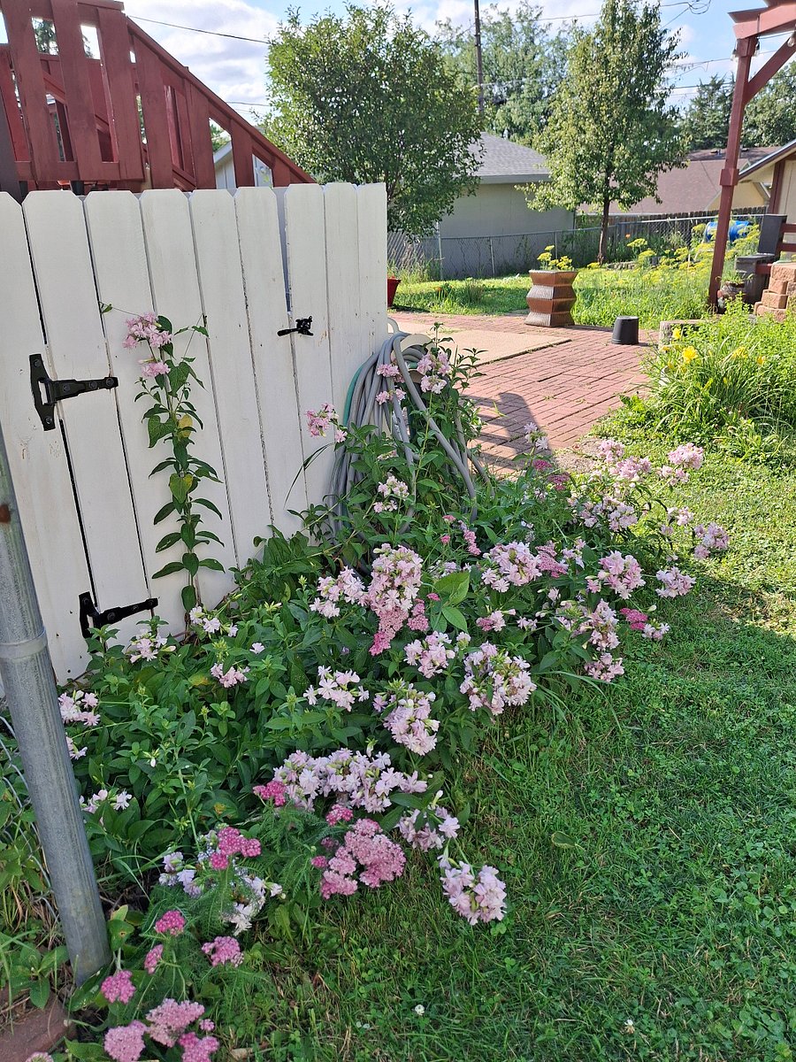 Furnished Finder property 872456_1 photo 4