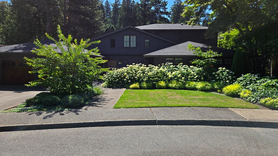 Front of house and parking on quiet cul de sac.