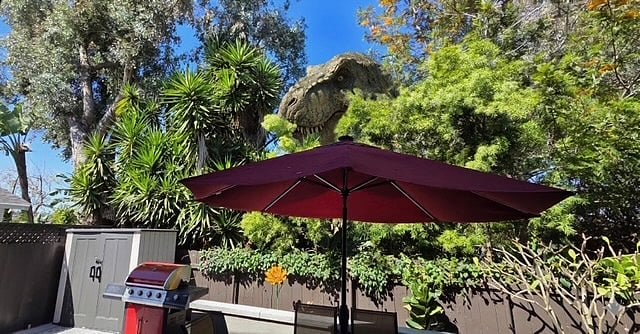 T-Rex next door - very quiet and respectful neighbor. Loves to pop by for BBQs. 
(Just joking!)