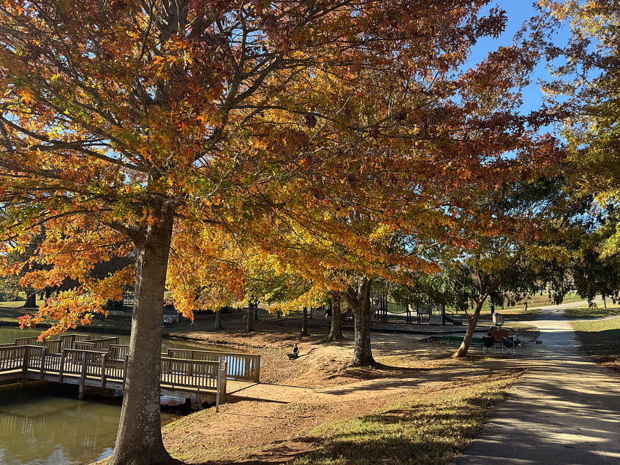 Furnished Finder property 872583_1 photo 30