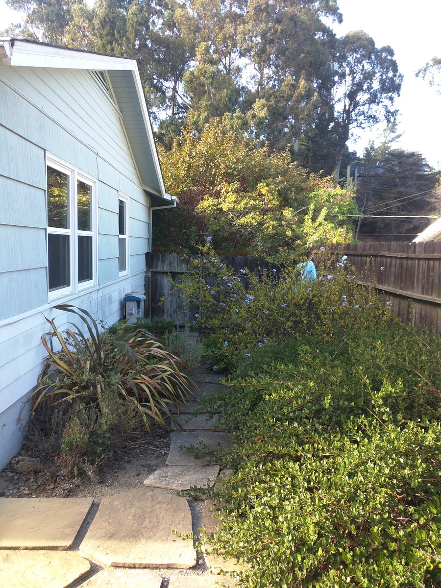 Side yard