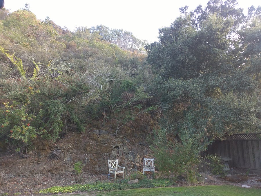 Hillside view