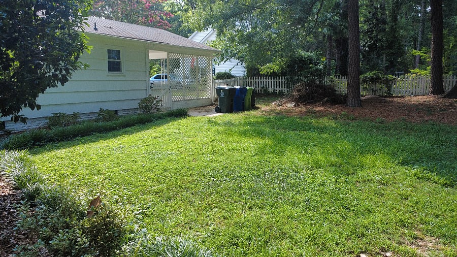 Fenced back yard