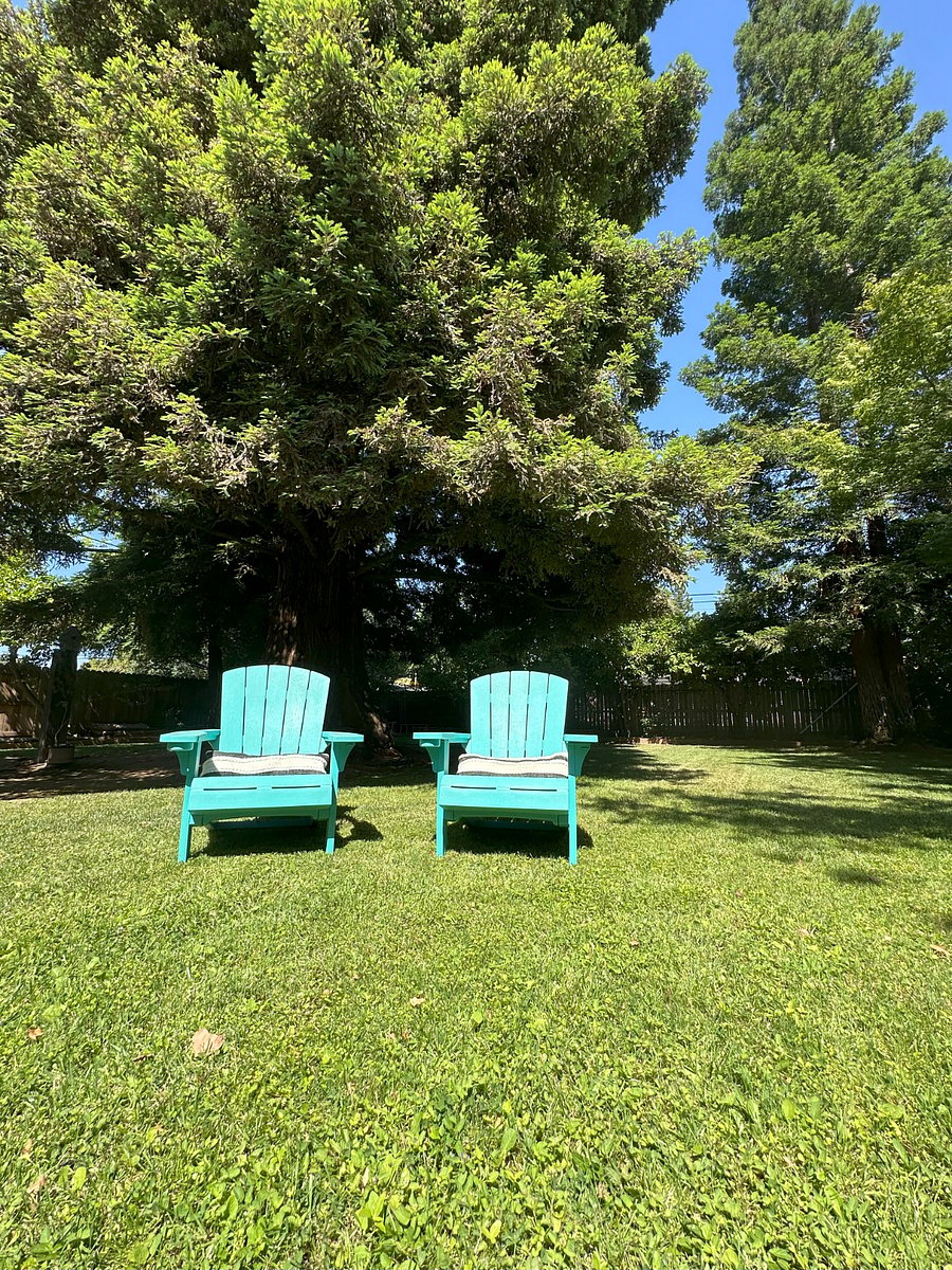 Furnished Finder property 872656_1 photo 17