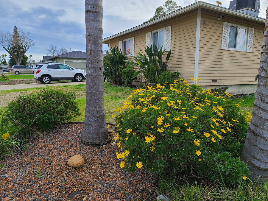 Furnished Finder property 872684_1 photo 18