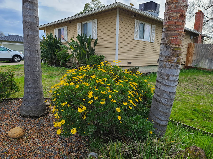 Furnished Finder property 872684_1 photo 19