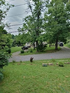 Furnished Finder property 872746_1 photo 19