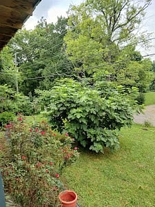 Furnished Finder property 872746_1 photo 18