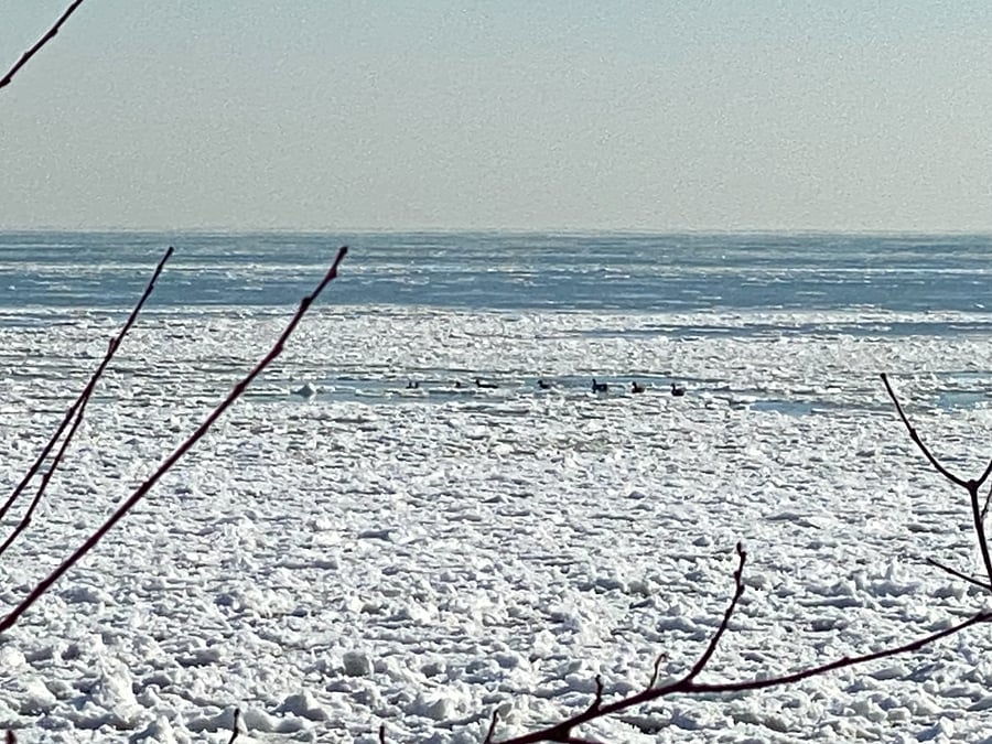The beaches are lovely in winter too!