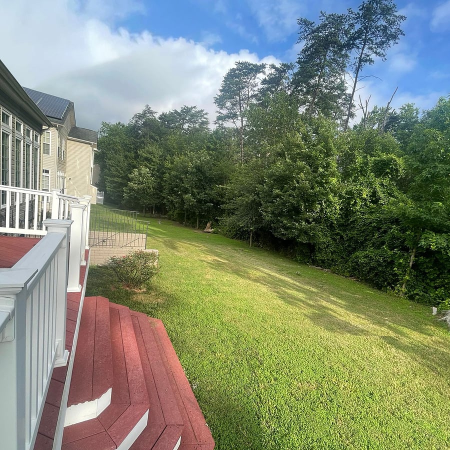 Furnished Finder property 872922_1 photo 3