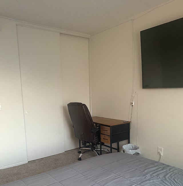 Guest bedroom