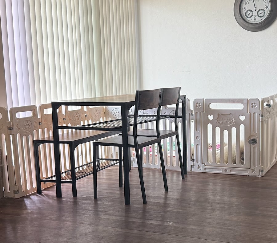 Dinning area