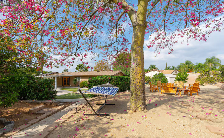 Furnished Finder property 873003_1 photo 24