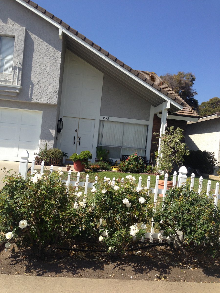 Furnished Finder property 873050_1 photo 4